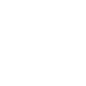 Valorant logo